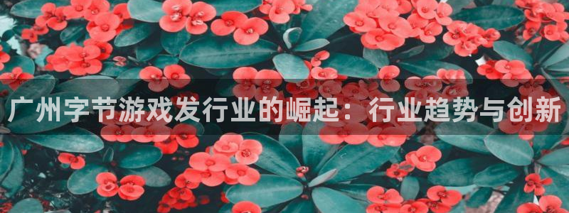新航娱乐的背景和历史背景是什么