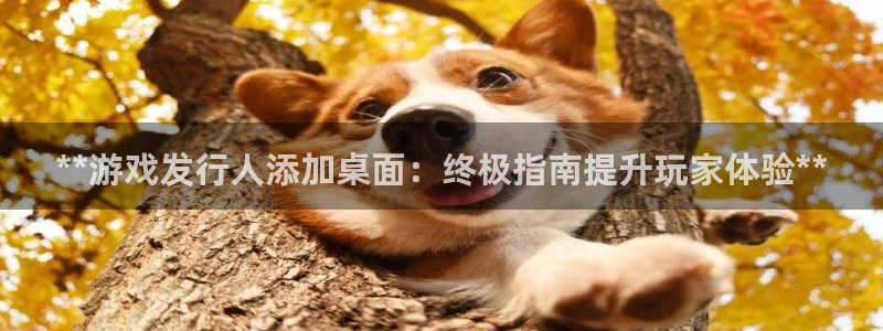 新航娱乐app最新版本更新内容是什么样的