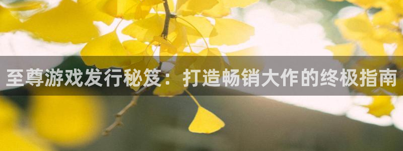 新航娱乐的创始人是谁啊