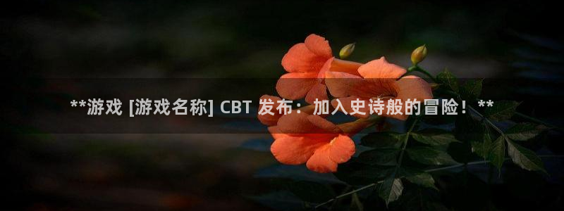 新航娱乐的会员权益与保障是什么