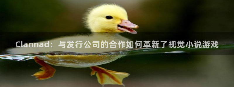 新航娱乐app最新版本更新内容介绍大全：Clannad：与发行公司的合作如何革新了视觉小说游戏