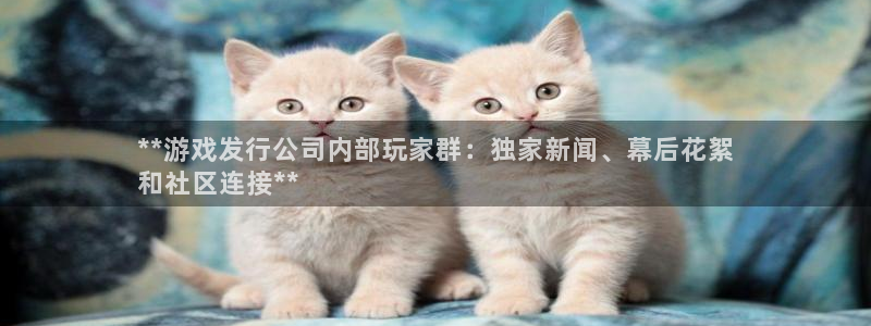 新航娱乐的创始人背景是谁：**游戏发行公司内部玩家群：独家新闻、幕后花絮
和社区连接**