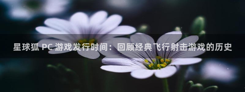 新航娱乐倒闭了吗知乎文章：星球狐 PC 游戏发行时间：回顾经典飞行射击游戏的历史