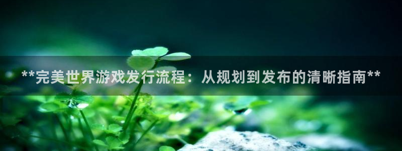 新航娱乐扣款后还能重新扣嘛怎么回事：**完美世界游戏发行流程：从规划到发布的清晰指南**