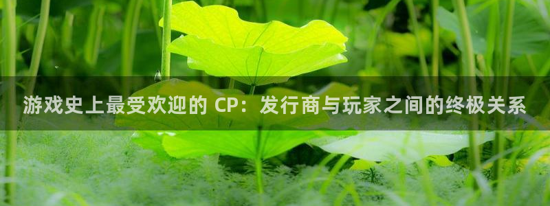 新航娱乐公司扣费流程详解表最新：游戏史上最受欢迎的 CP：发行商与玩家之间的终极关系
