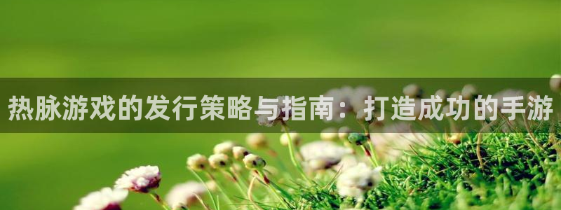 新航娱乐的最新版本更新内容：热脉游戏的发行策略与指南：打造成功的手游