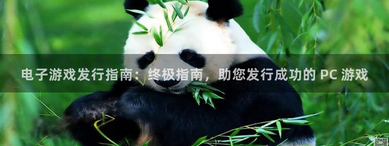 新航娱乐扣款后还能重新扣嘛：电子游戏发行指南：终极指南，助您发行成功的 PC 游戏