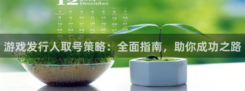 新航娱乐背后的老板：游戏发行人取号策略：全面指南，助你成功之路