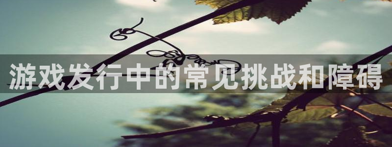 新航娱乐扣款7IIII2：游戏发行中的常见挑战和障碍