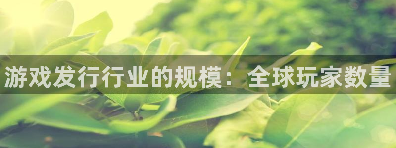 新航娱乐直开.中国最新版本更新内容：游戏发行行业的规模：全球玩家数量