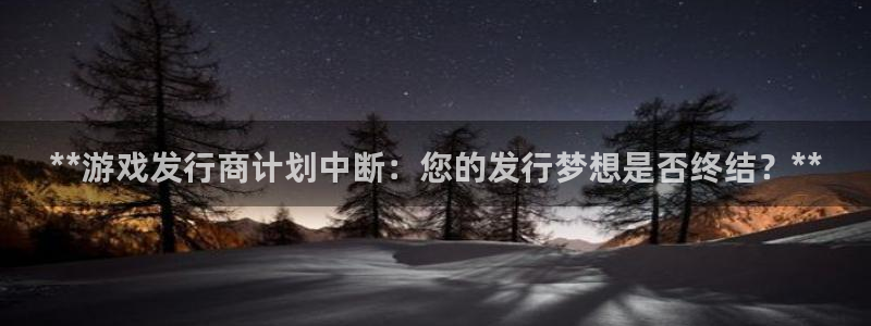 新航娱乐的员工工资福利及待遇：**游戏发行商计划中断：您的发行梦想是否终结？**