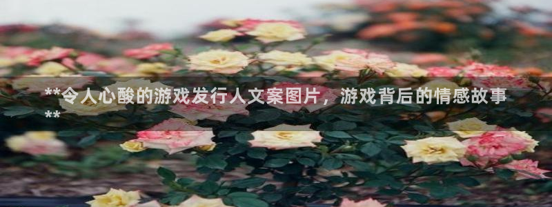 新航娱乐最新招聘信息