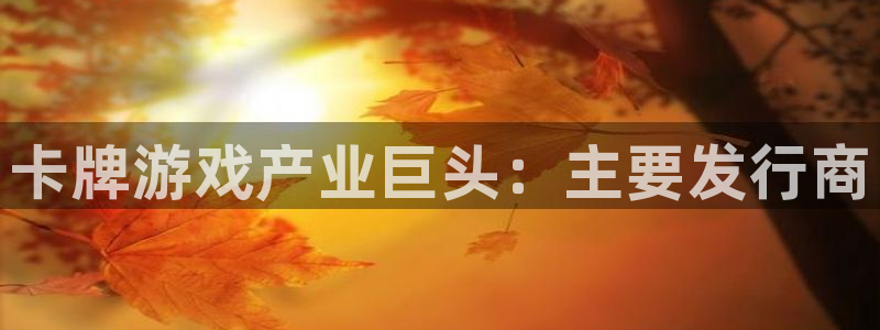 新航娱乐app的最新版本更新内容是什么：卡牌游戏产业巨头：主要发行商