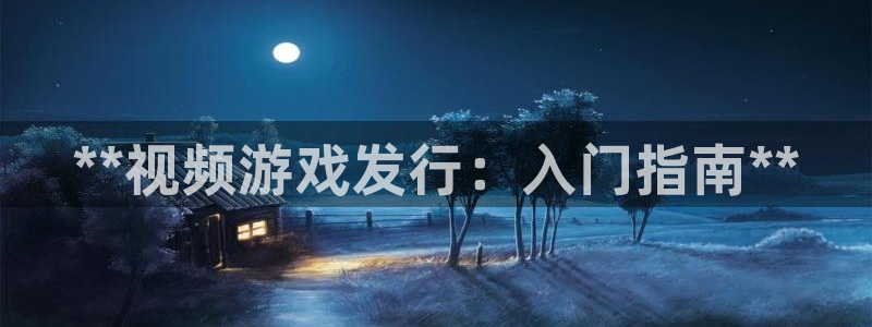 新航娱乐旗下艺人列表：**视频游戏发行：入门指南**