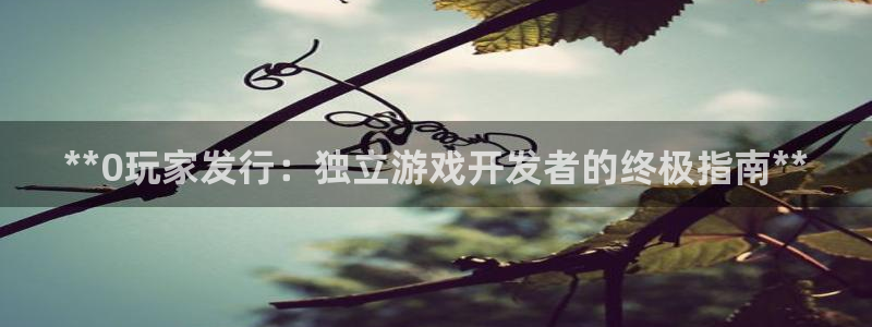 新航娱乐扣费是什么费用啊怎么退：**0玩家发行：独立游戏开发者的终极指南**
