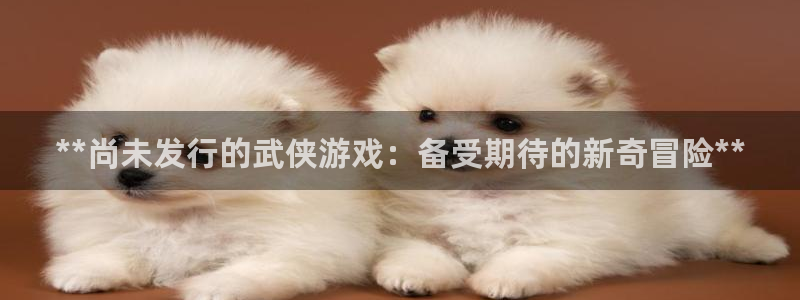 新航娱乐挂机.直开.中国(官方下载)：**尚未发行的武侠游戏：备受期待的新奇冒险**