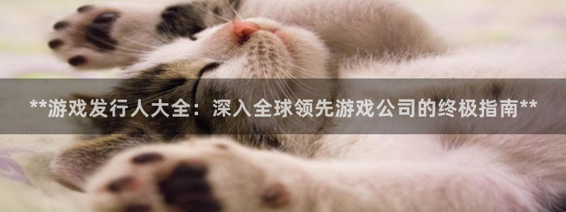 新航娱乐扣款7IIII2违反了国家法定的吗：**游戏发行人大全：深入全球领先游戏公司的终极指南**