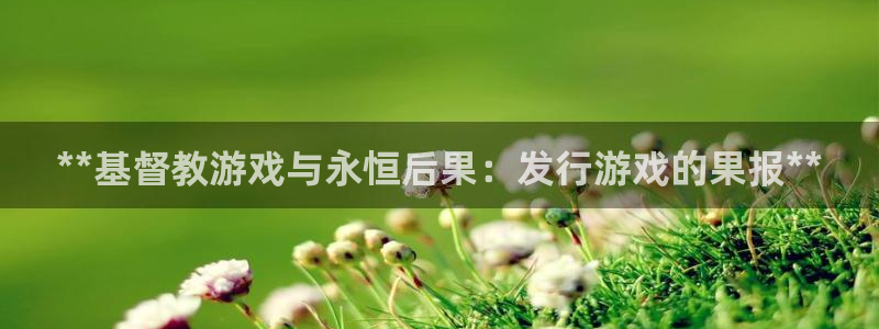 新航娱乐背后的老板：**基督教游戏与永恒后果：发行游戏的果报**