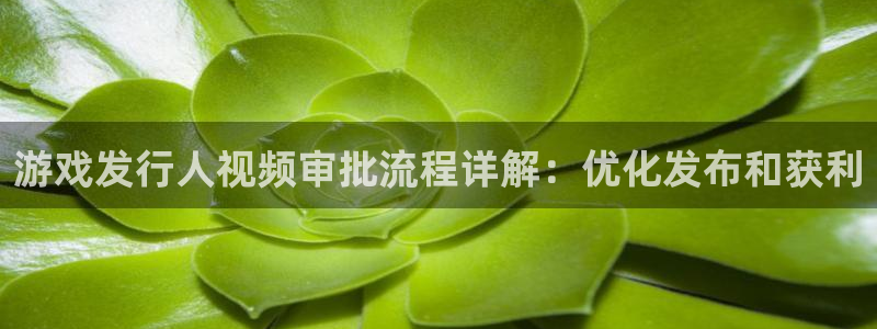 新航娱乐的创始人是谁呀：游戏发行人视频审批流程详解：优化发布和获利