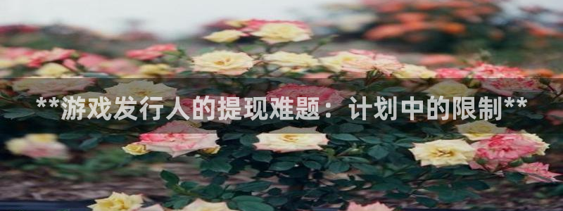 新航娱乐的员工工资福利及待遇怎么样：**游戏发行人的提现难题：计划中的限制**
