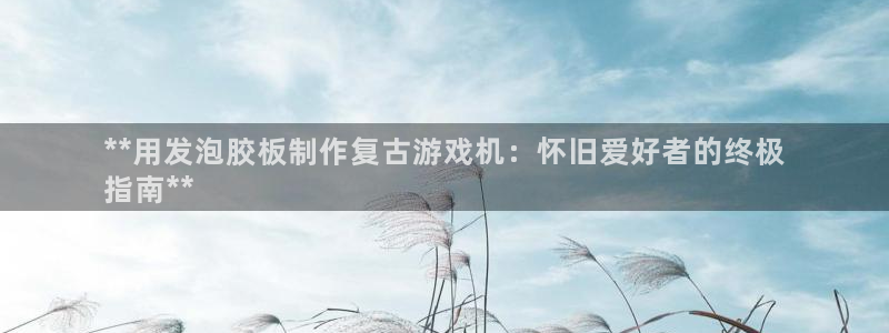 新航娱乐的创始人背景是谁：**用发泡胶板制作复古游戏机：怀旧爱好者的终极
指南**