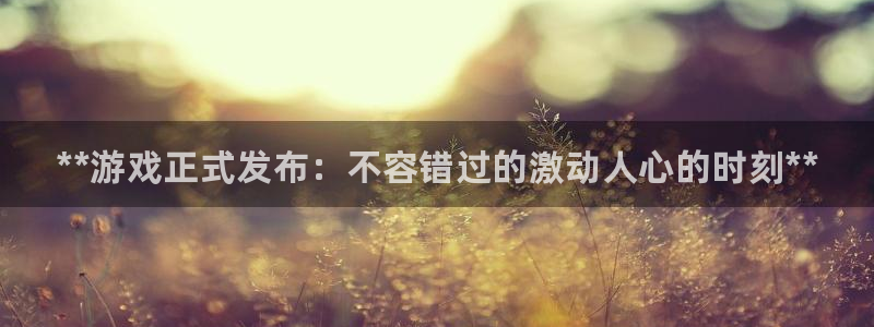 新航娱乐的创始人背景：**游戏正式发布：不容错过的激动人心的时刻**