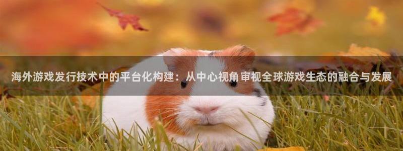 新航娱乐app手机版特色功能介绍：海外游戏发行技术中的平台化构建：从中心视角审视全球游戏生态的融合与发展