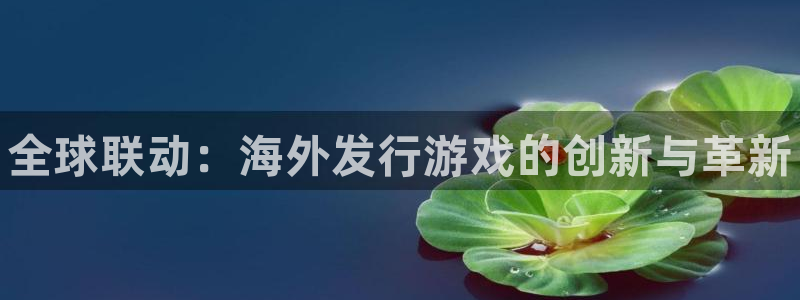 新航娱乐最新消息：全球联动：海外发行游戏的创新与革新