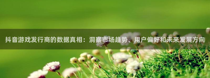 新航娱乐皮皮虾：抖音游戏发行商的数据真相：洞察市场趋势、用户偏好和未来发展方向