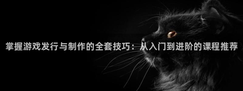 新航娱乐元哥：掌握游戏发行与制作的全套技巧：从入门到进阶的课程推荐
