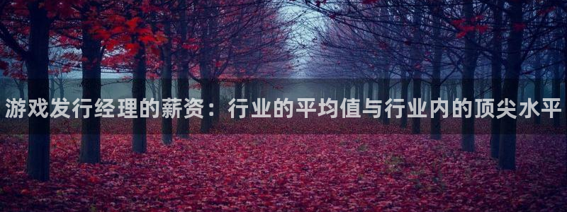 新航娱乐app手机版官网下载：游戏发行经理的薪资：行业的平均值与行业内的顶尖水平