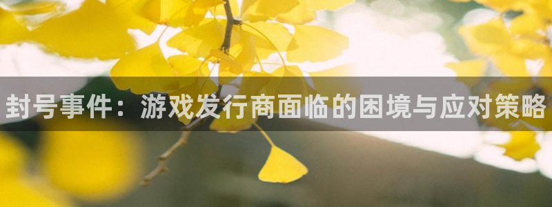 新航娱乐扣款后还能重新扣费吗知乎：封号事件：游戏发行商面临的困境与应对策略