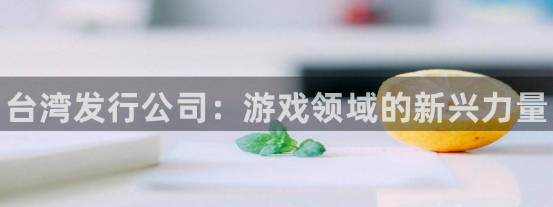 新航娱乐公司扣费流程详解视频下载：台湾发行公司：游戏领域的新兴力量